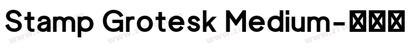 Stamp Grotesk Medium字体转换